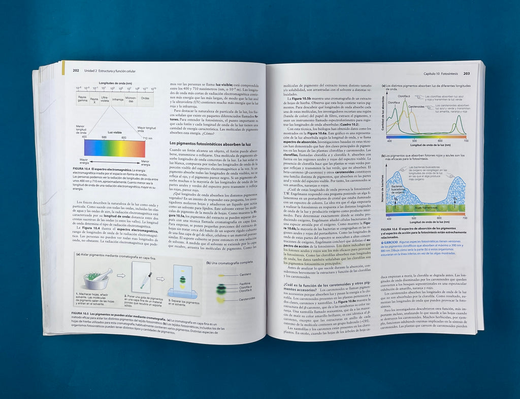 Fundamentos de biología tercera edición by Scott Freedman