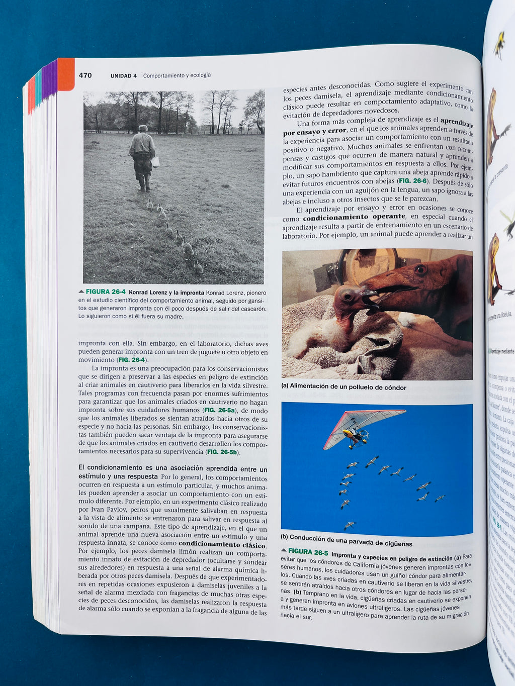 Biología la vida en la tierra con fisiología décima edición by Audesirk Audesirk Byers