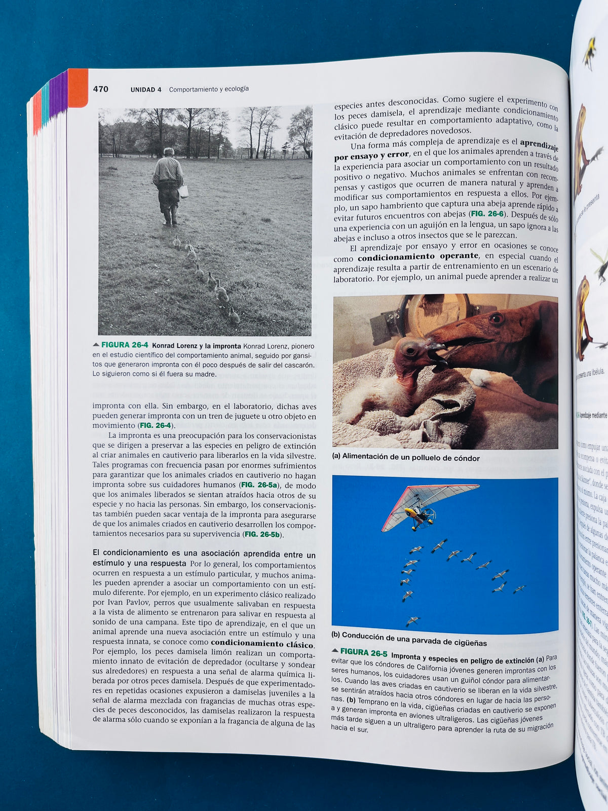 Biología la vida en la tierra con fisiología décima edición by Audesirk Audesirk Byers