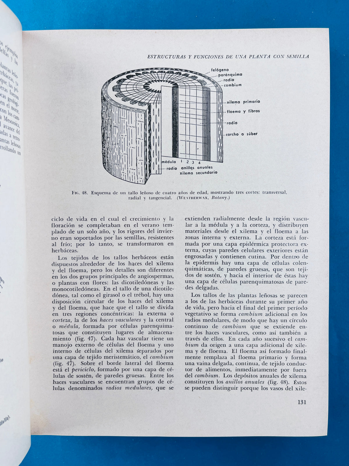 Biología by Claude A. Villée