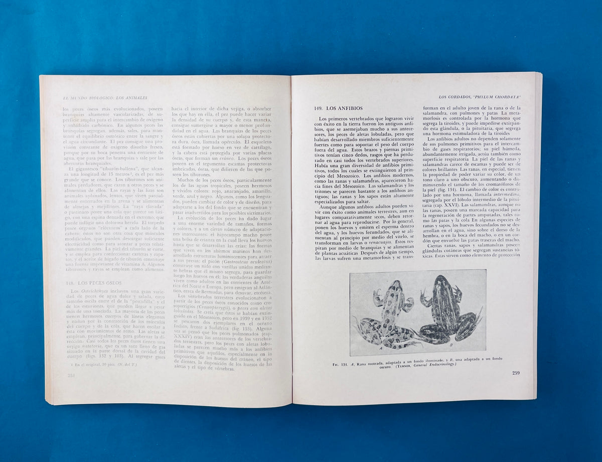 Biología by Claude A. Villée