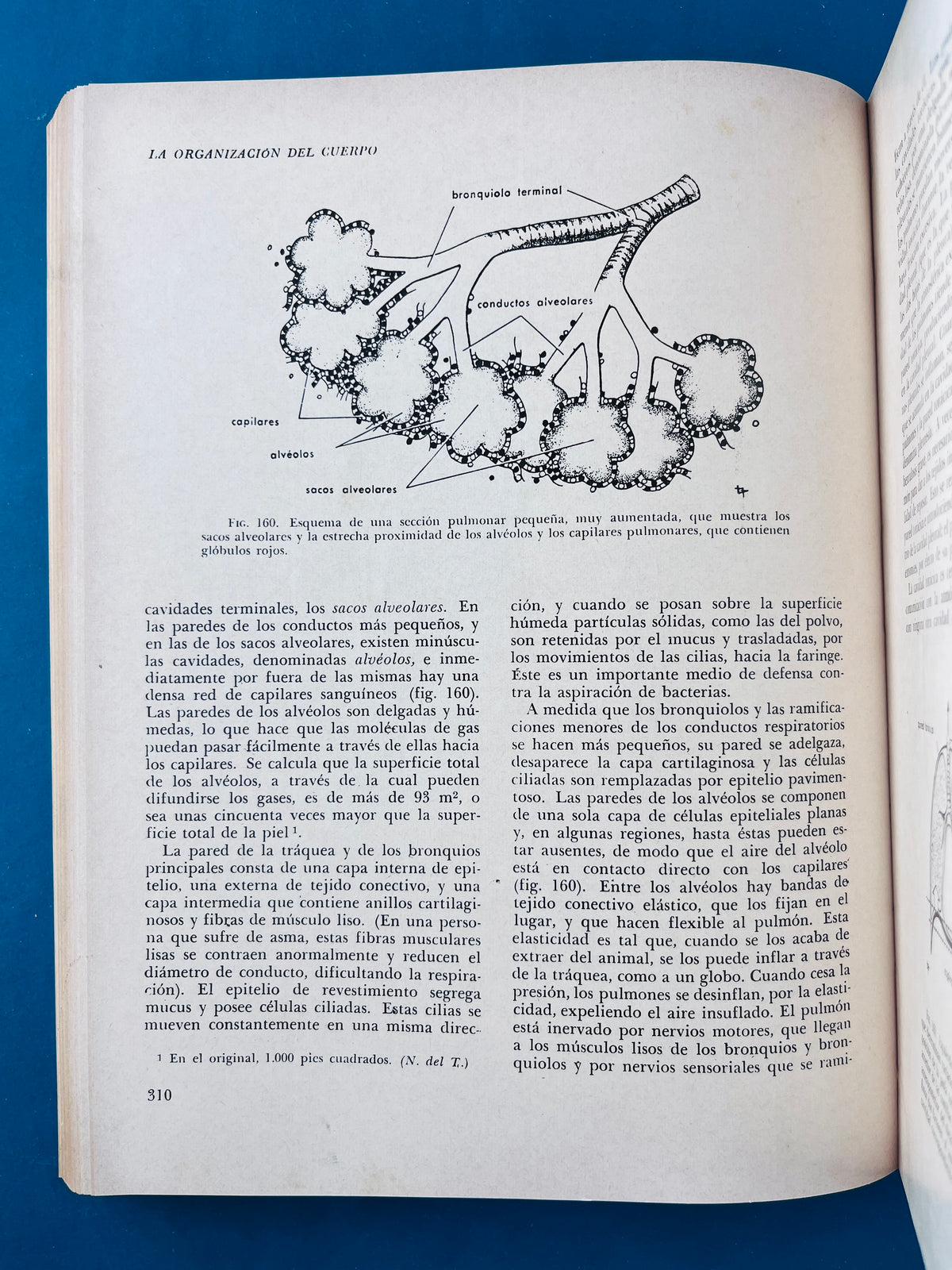 Biología by Claude A. Villée