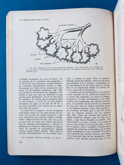 Biología