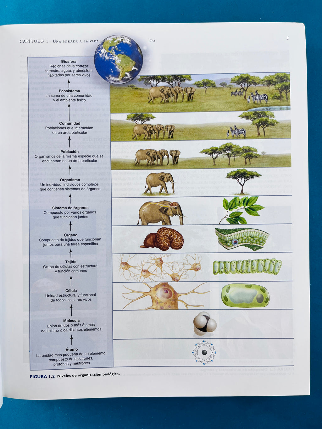 Biología novena edición by Silvia S Mander