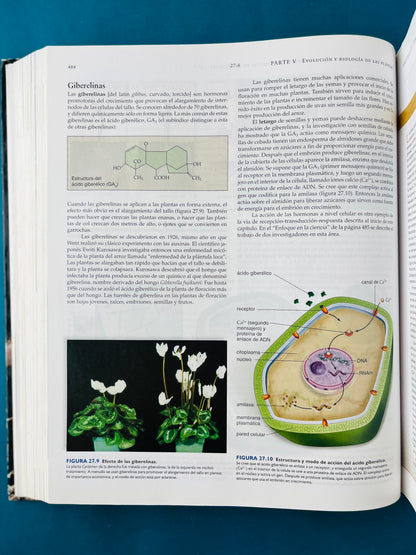Biología novena edición