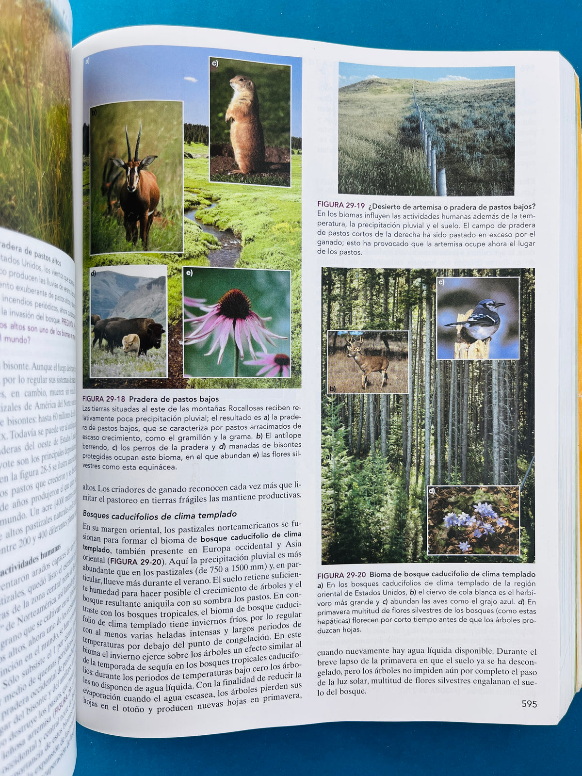Biología la vida en la tierra octava edición by Audesirk Audesirk Byers