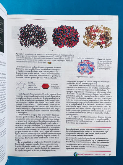 Biología la unidad y diversidad da la vida décima edición