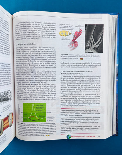 Biología la unidad y diversidad da la vida décima edición