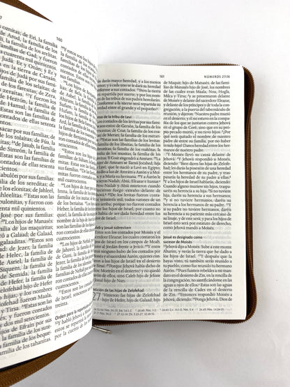 Biblia rvr 1960 letra grande estuche café/combinado