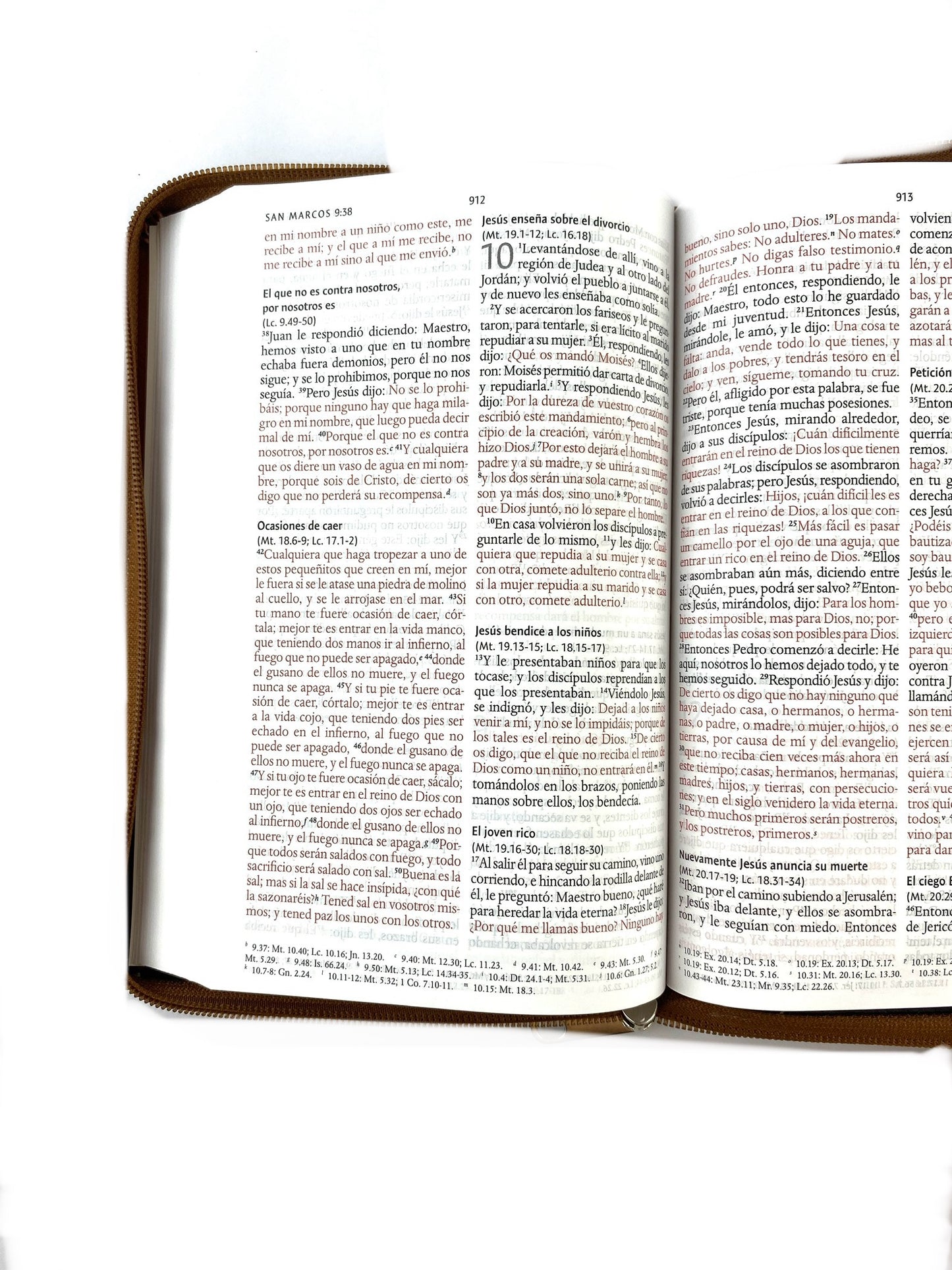 Biblia rvr 1960 letra grande estuche café/combinado