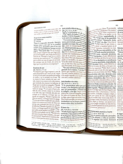 Biblia rvr 1960 letra grande estuche café/combinado