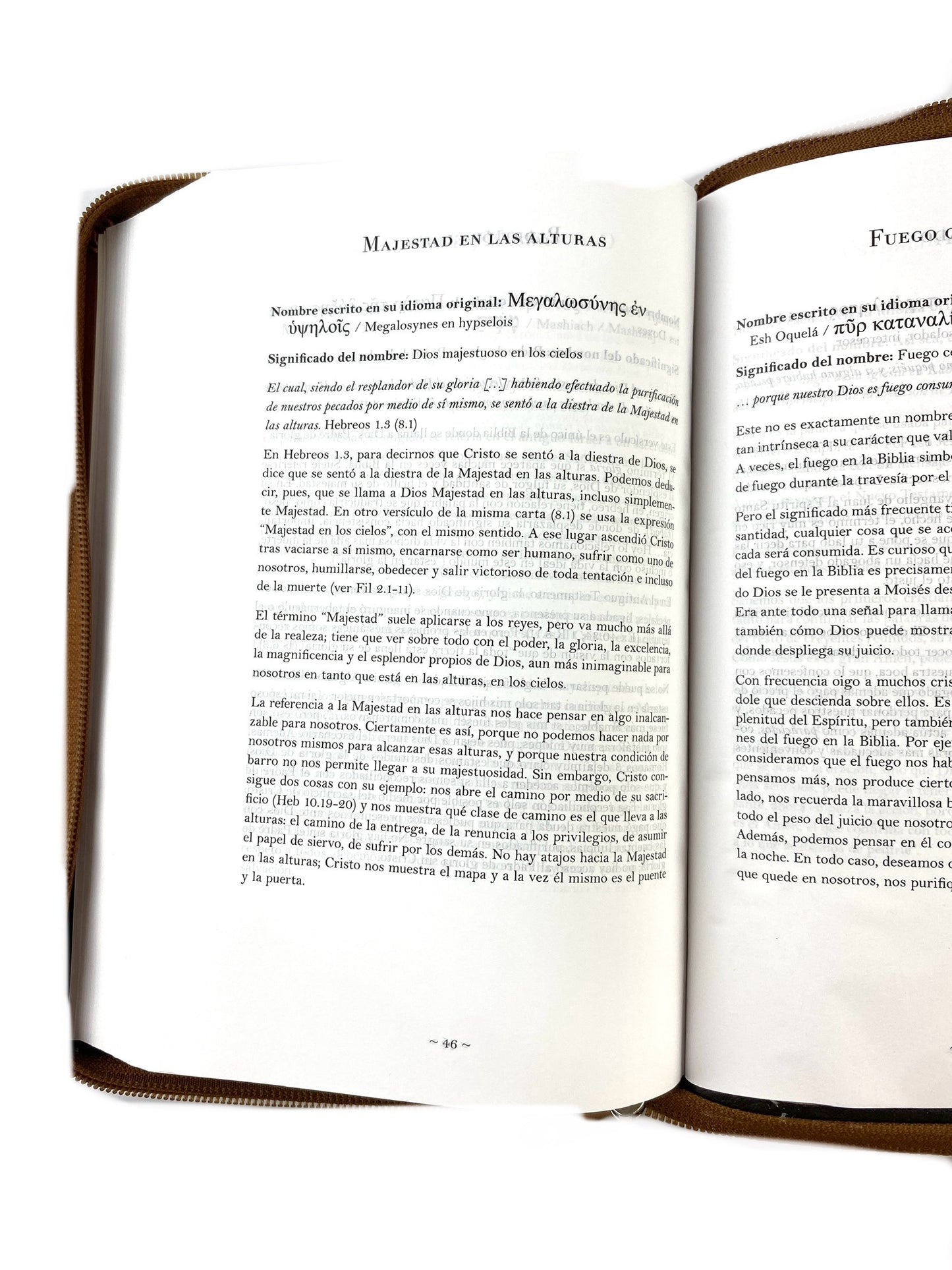 Biblia rvr 1960 letra grande estuche café/combinado