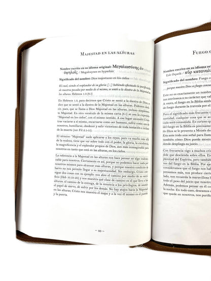 Biblia rvr 1960 letra grande estuche café/combinado