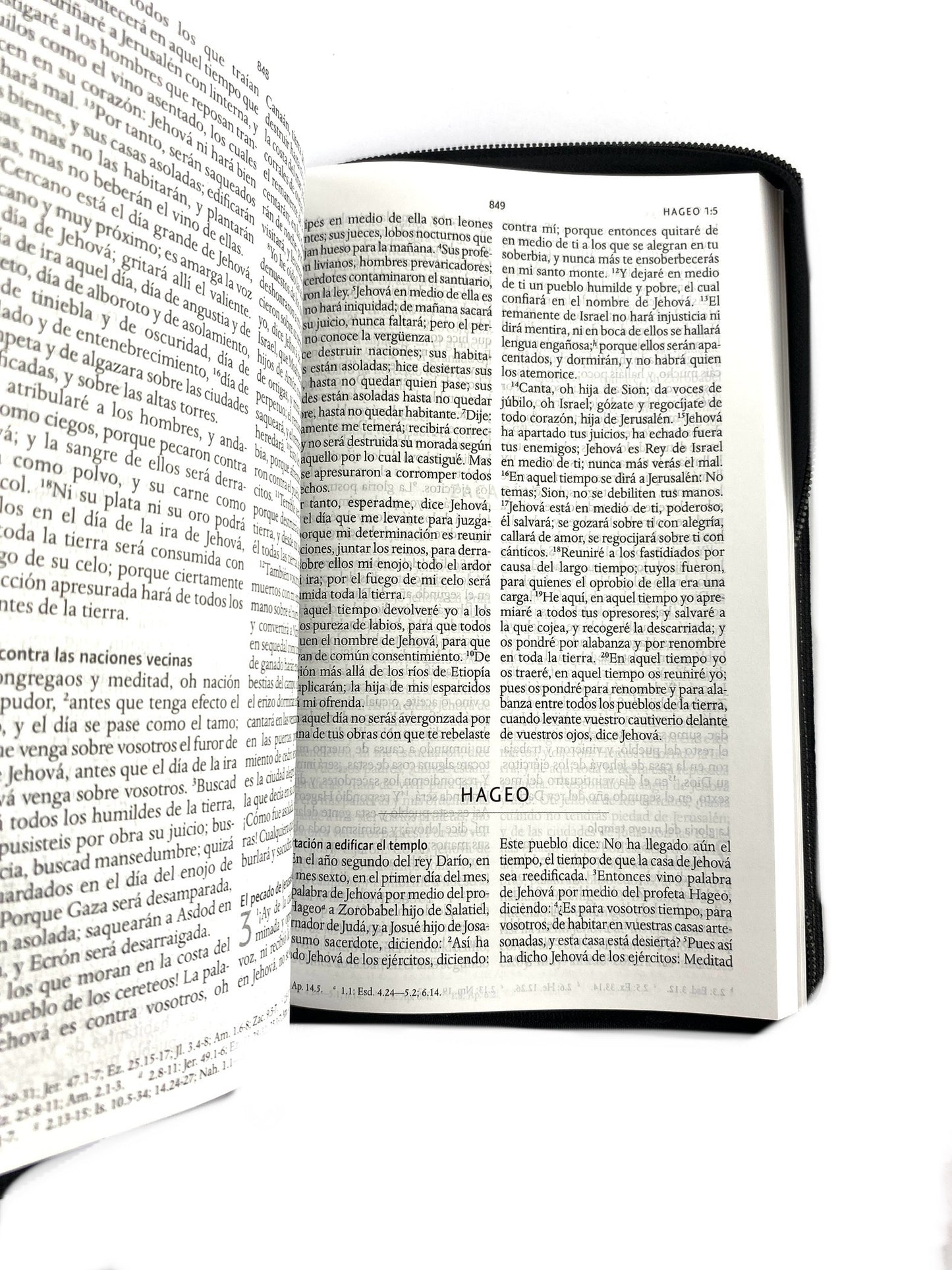 Biblia rvr 1960 letra grande estuche negro/combinado by Reina Valera 1960