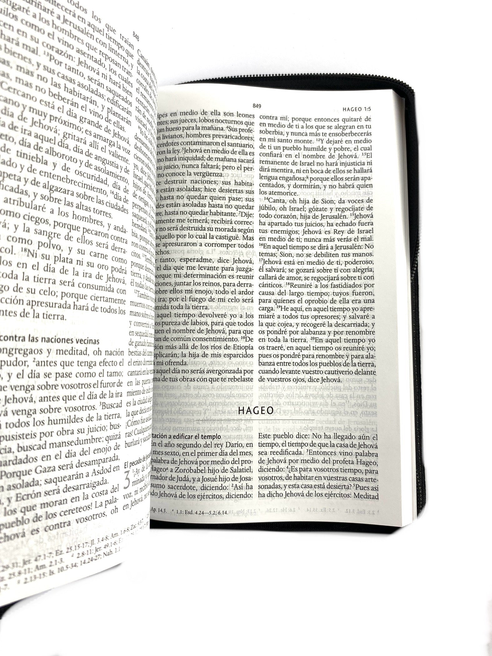 Biblia rvr 1960 letra grande estuche negro/combinado by Reina Valera 1960