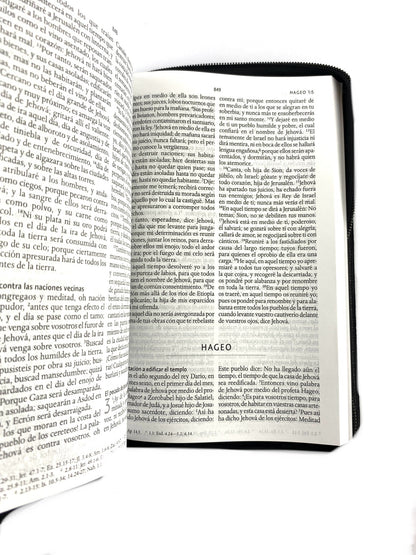 Biblia rvr 1960 letra grande estuche negro/combinado by Reina Valera 1960
