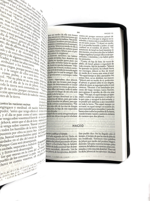 Biblia rvr 1960 letra grande estuche negro/combinado by Reina Valera 1960