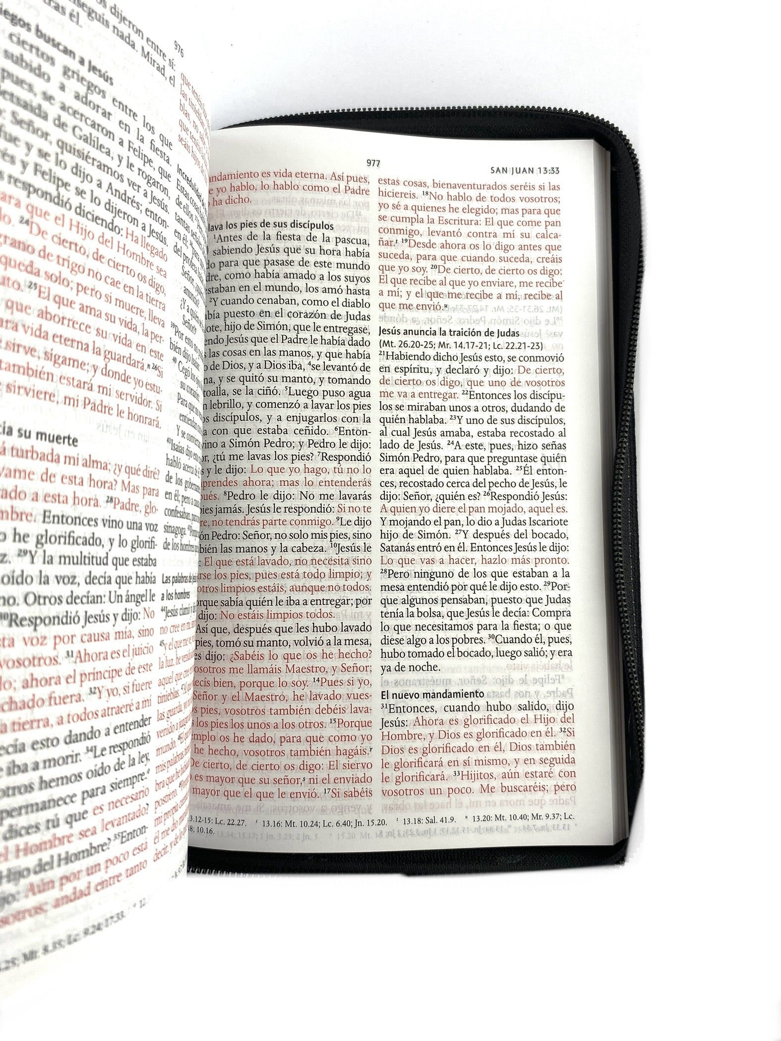 Biblia rvr 1960 letra grande estuche negro/combinado by Reina Valera 1960