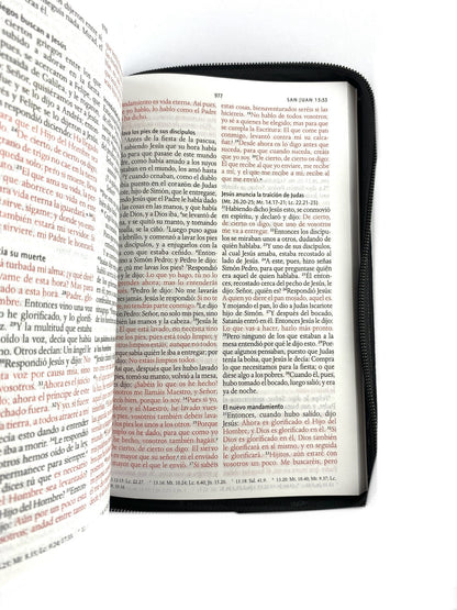 Biblia rvr 1960 letra grande estuche negro/combinado by Reina Valera 1960
