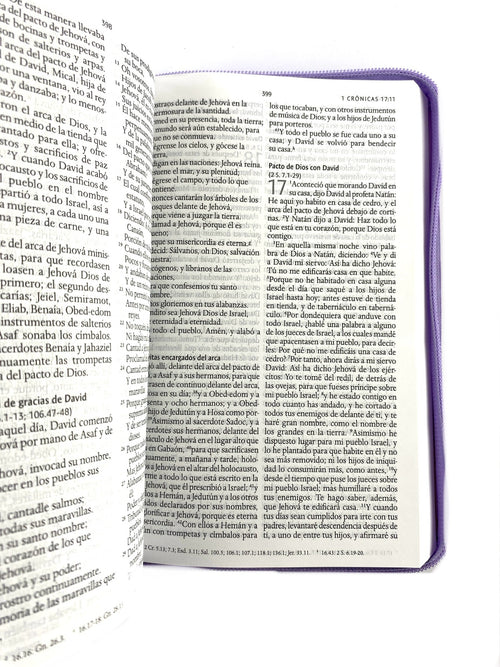 Biblia rvr 1960 letra grande estuche lila - flores azul esquina by Reina Valera 1960