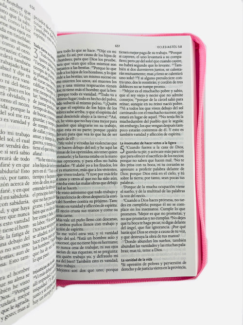 Biblia rvr 1960 letra grande estuche rosa-flores lila esquina by Reina Valera 1960