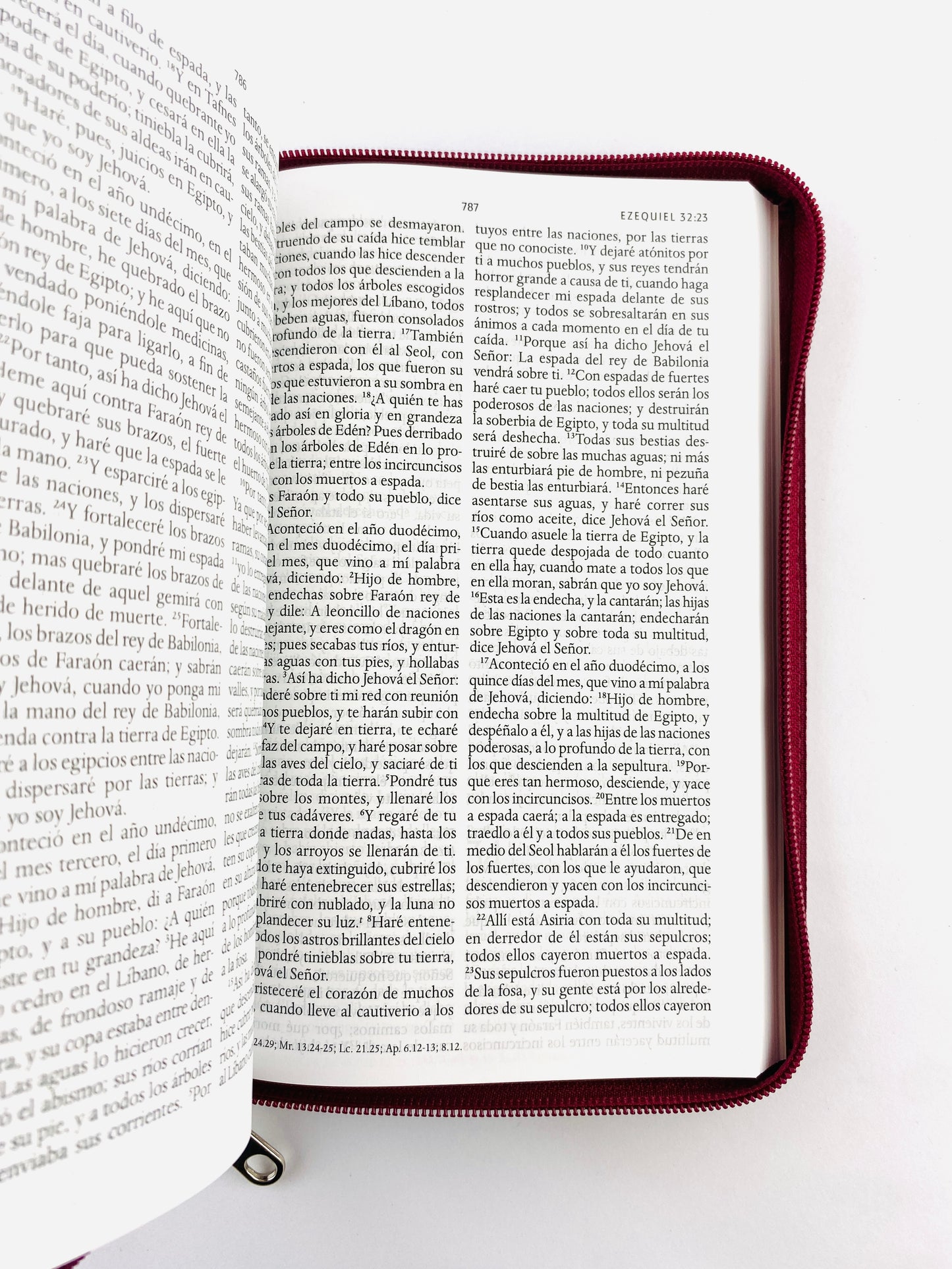 Biblia rvr 1960 letra grande estuche vinotinto satinado - flores vertical by Reina Valera 1960