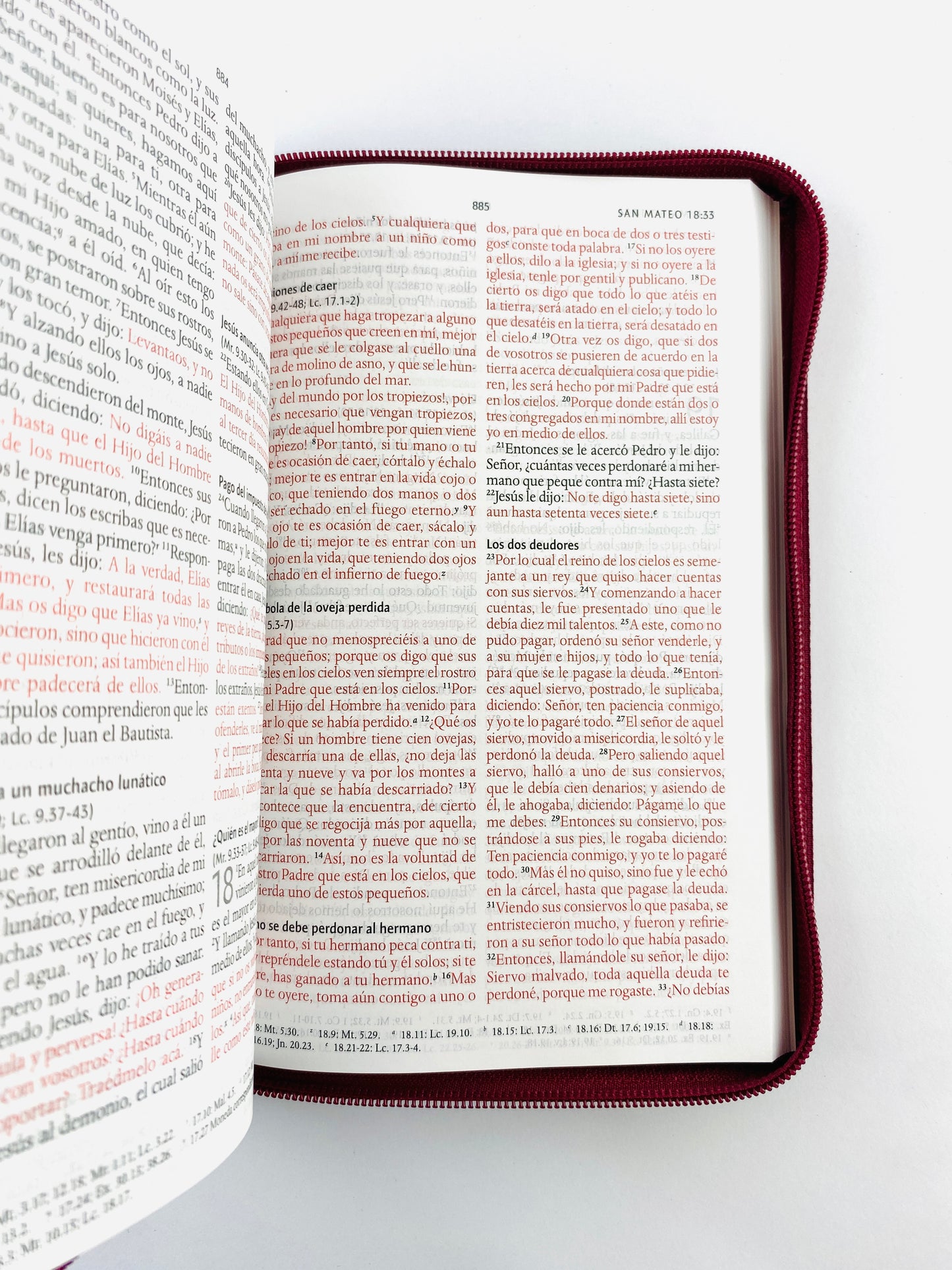 Biblia rvr 1960 letra grande estuche vinotinto satinado - flores vertical by Reina Valera 1960