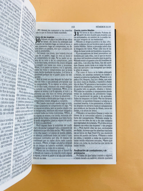 Biblia promesas NVI pasta dura negra by Nueva Versión Internacional