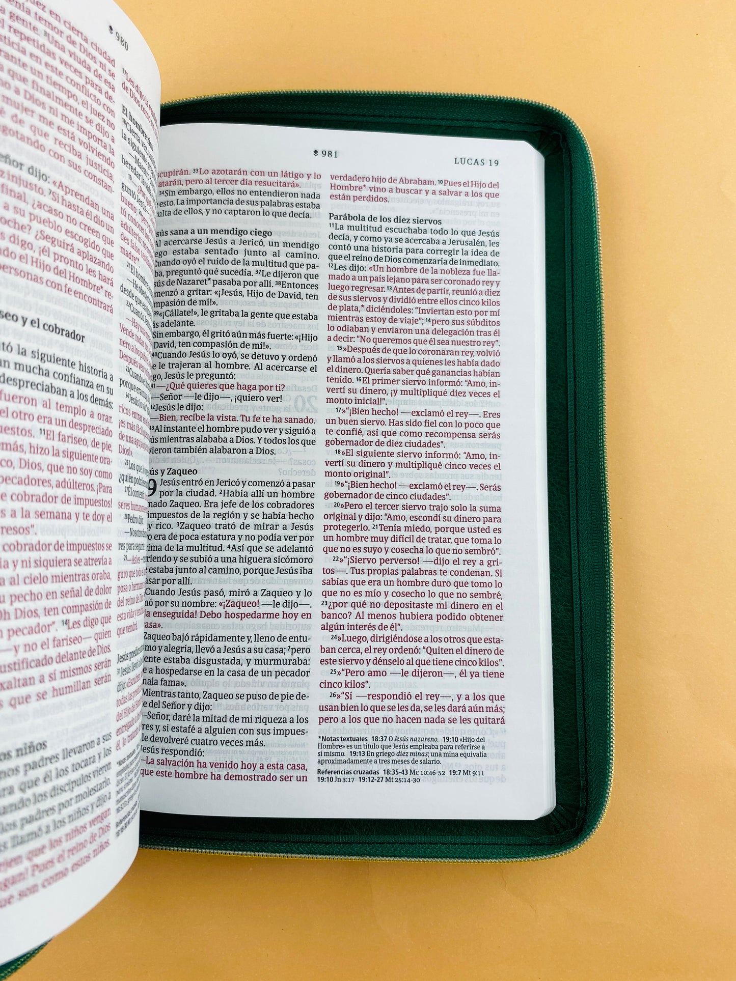 Biblia ntv tipo agenda verde zíper