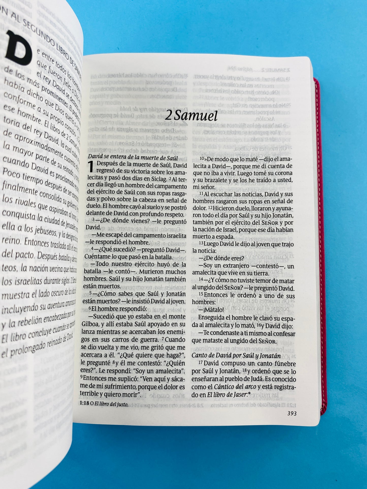 Biblia ntv letra grande edición personal rosa - flores by Nueva Traducción Viviente