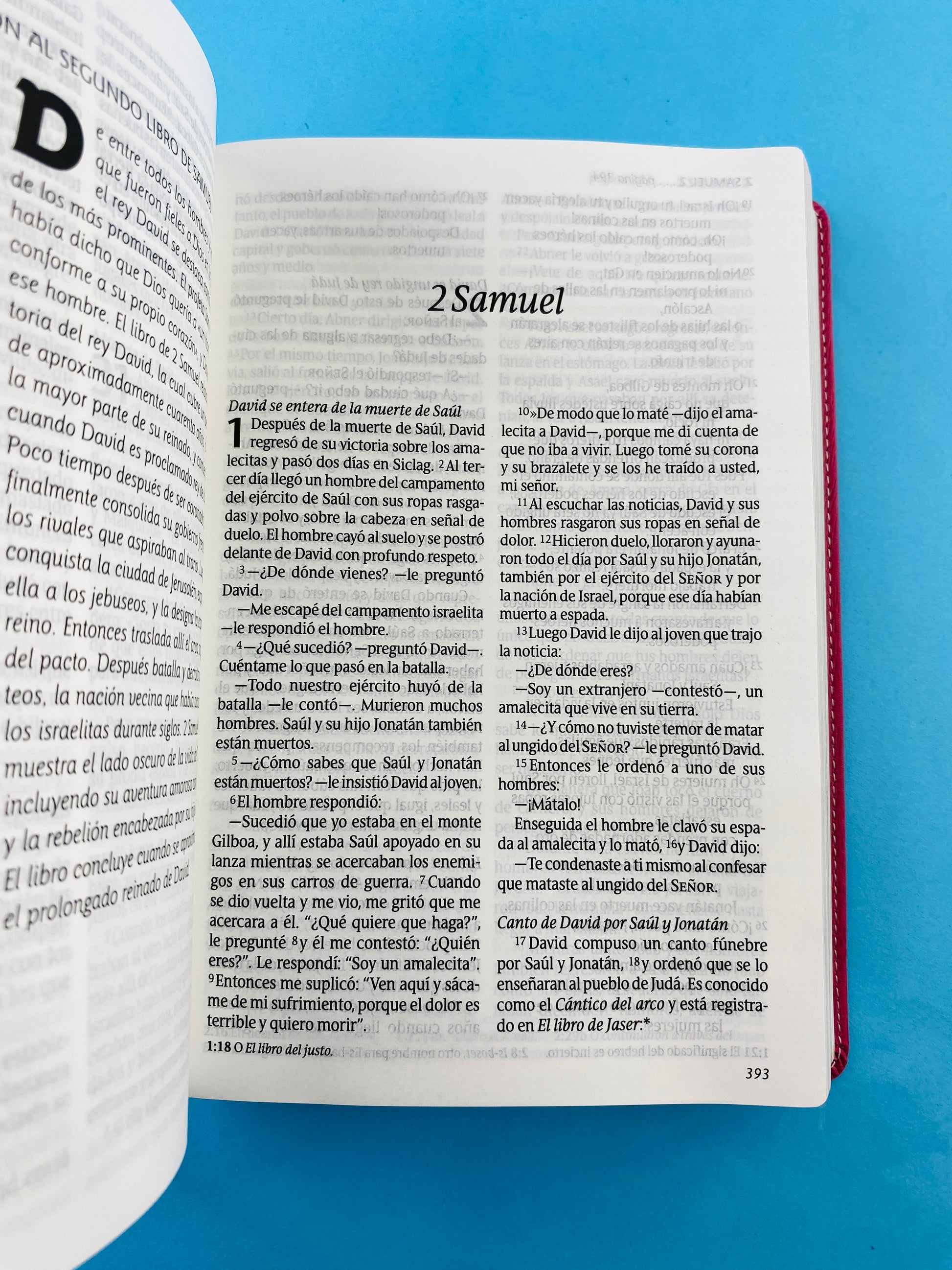 Biblia ntv letra grande edición personal rosa - flores by Nueva Traducción Viviente
