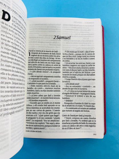 Biblia ntv letra grande edición personal rosa - flores by Nueva Traducción Viviente