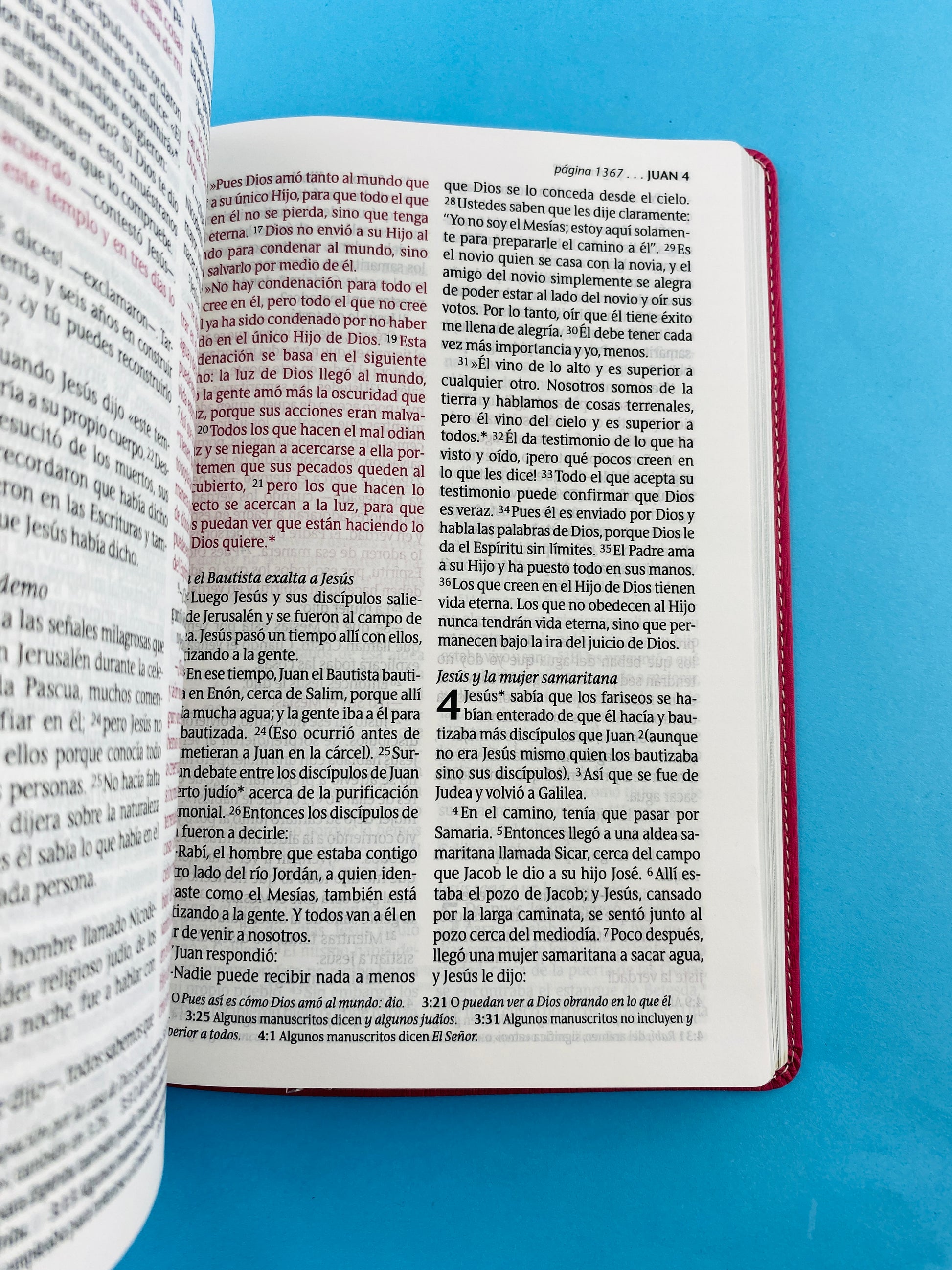 Biblia ntv letra grande edición personal rosa - flores by Nueva Traducción Viviente