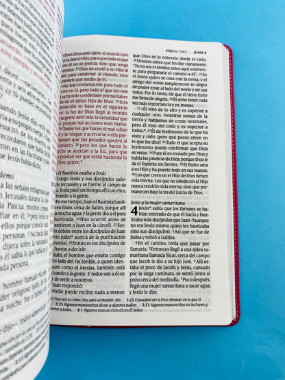Biblia ntv letra grande edición personal rosa - flores by Nueva Traducción Viviente