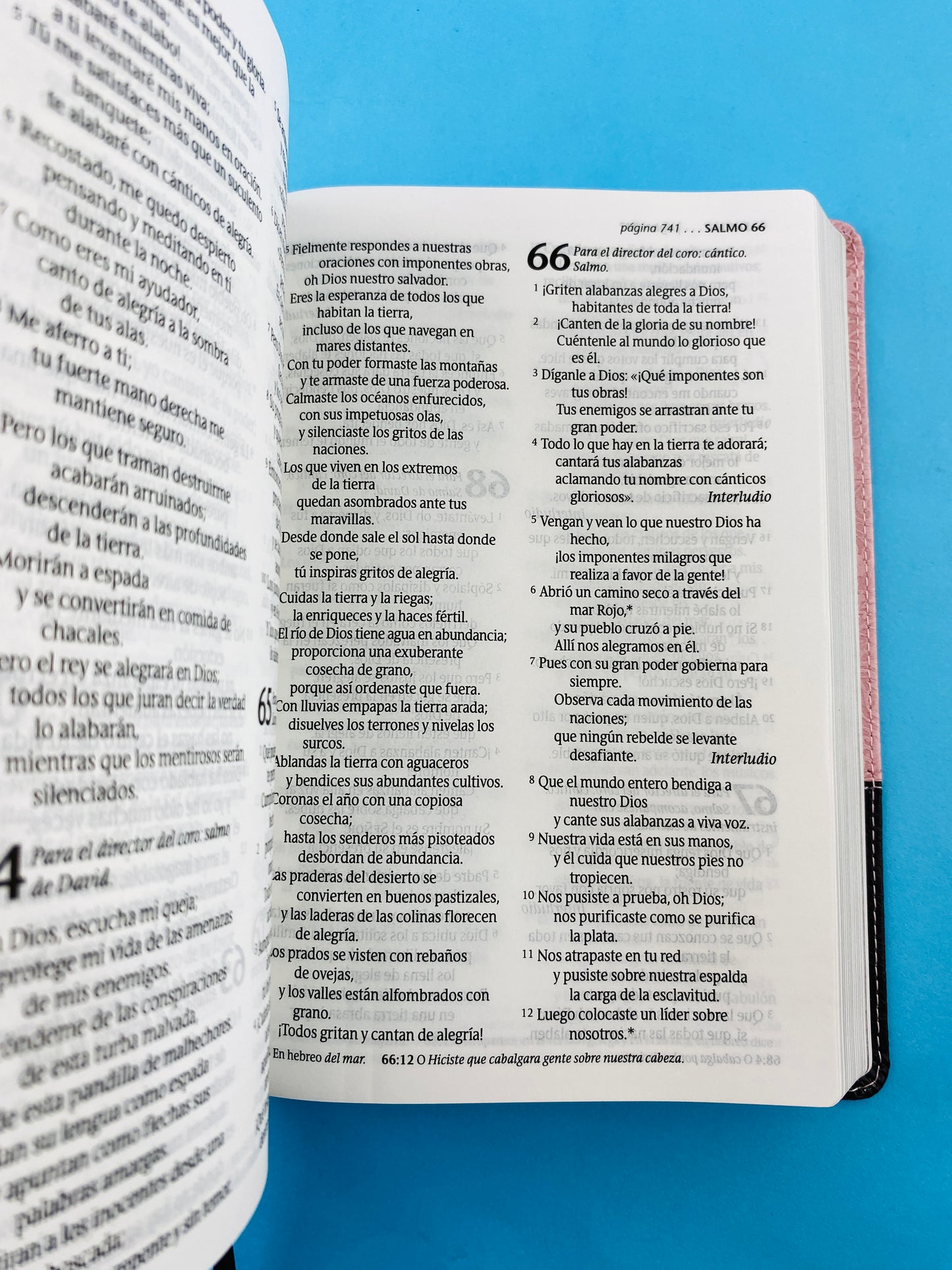 Biblia ntv letra grande edición personal rosa - café