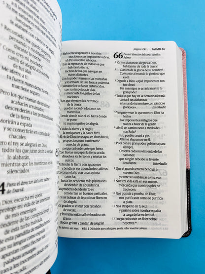 Biblia ntv letra grande edición personal rosa - café