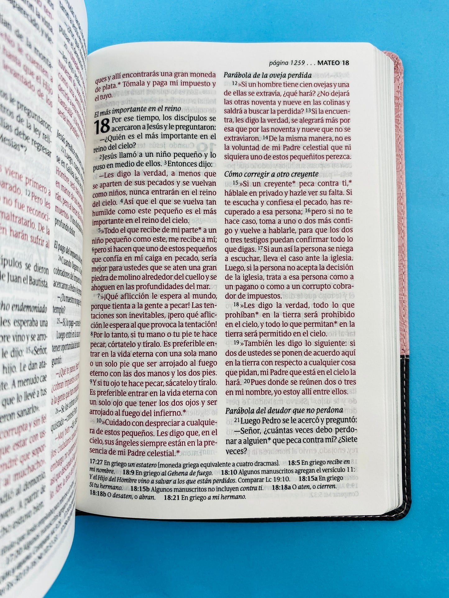Biblia ntv letra grande edición personal rosa - café