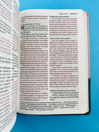 Biblia ntv letra grande edición personal rosa - café