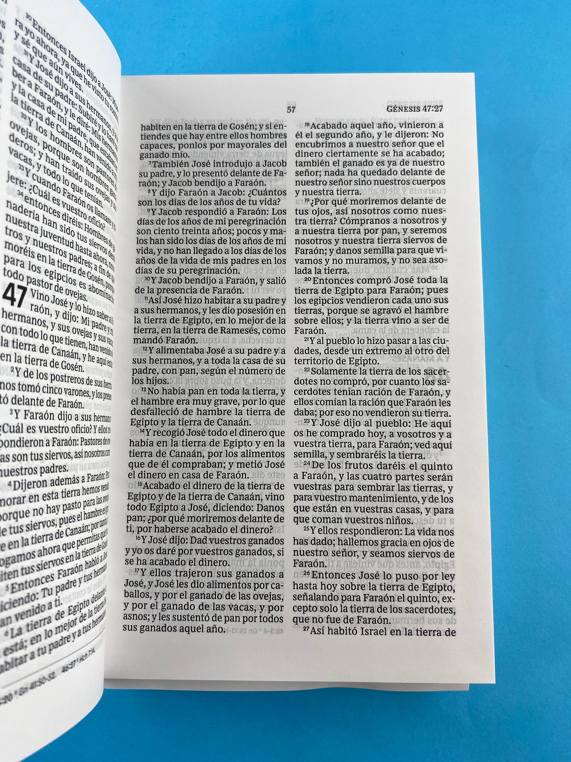 Biblia rvr 1960 tapa dura negra letra grande by Reina Valera 1960