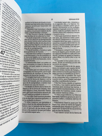 Biblia rvr 1960 tapa dura negra letra grande by Reina Valera 1960