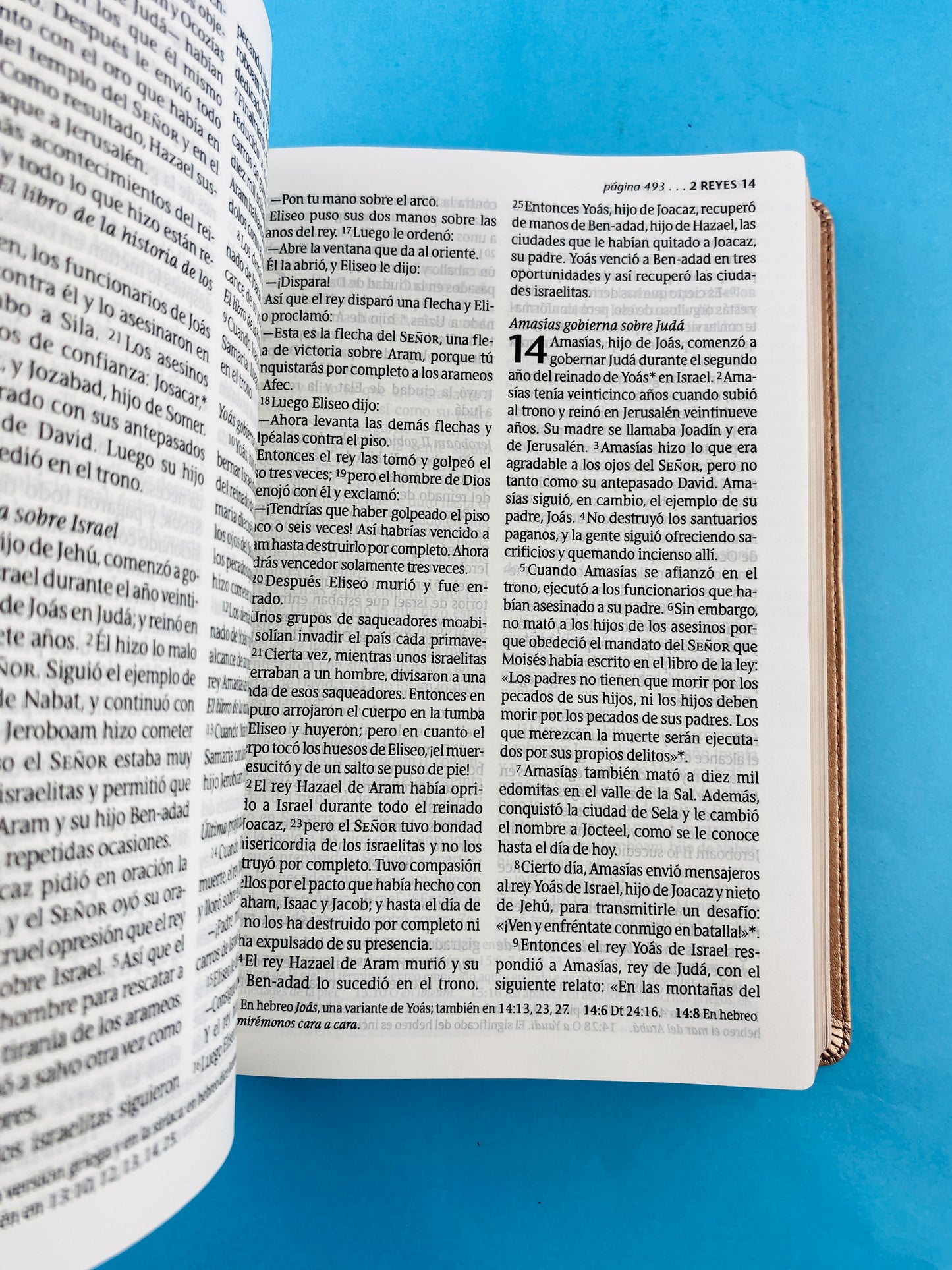 Biblia ntv letra grande edición personal rosa metalizado