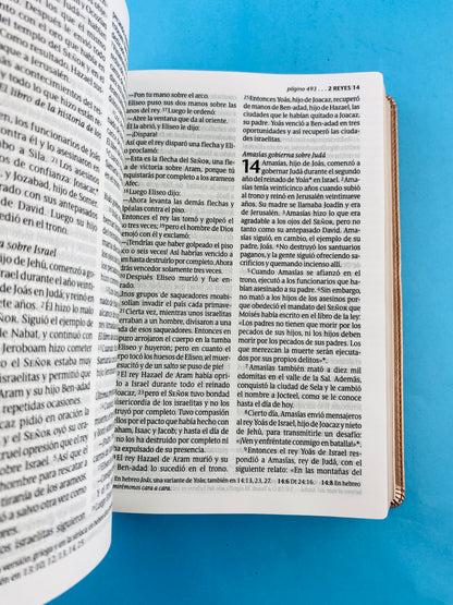 Biblia ntv letra grande edición personal rosa metalizado