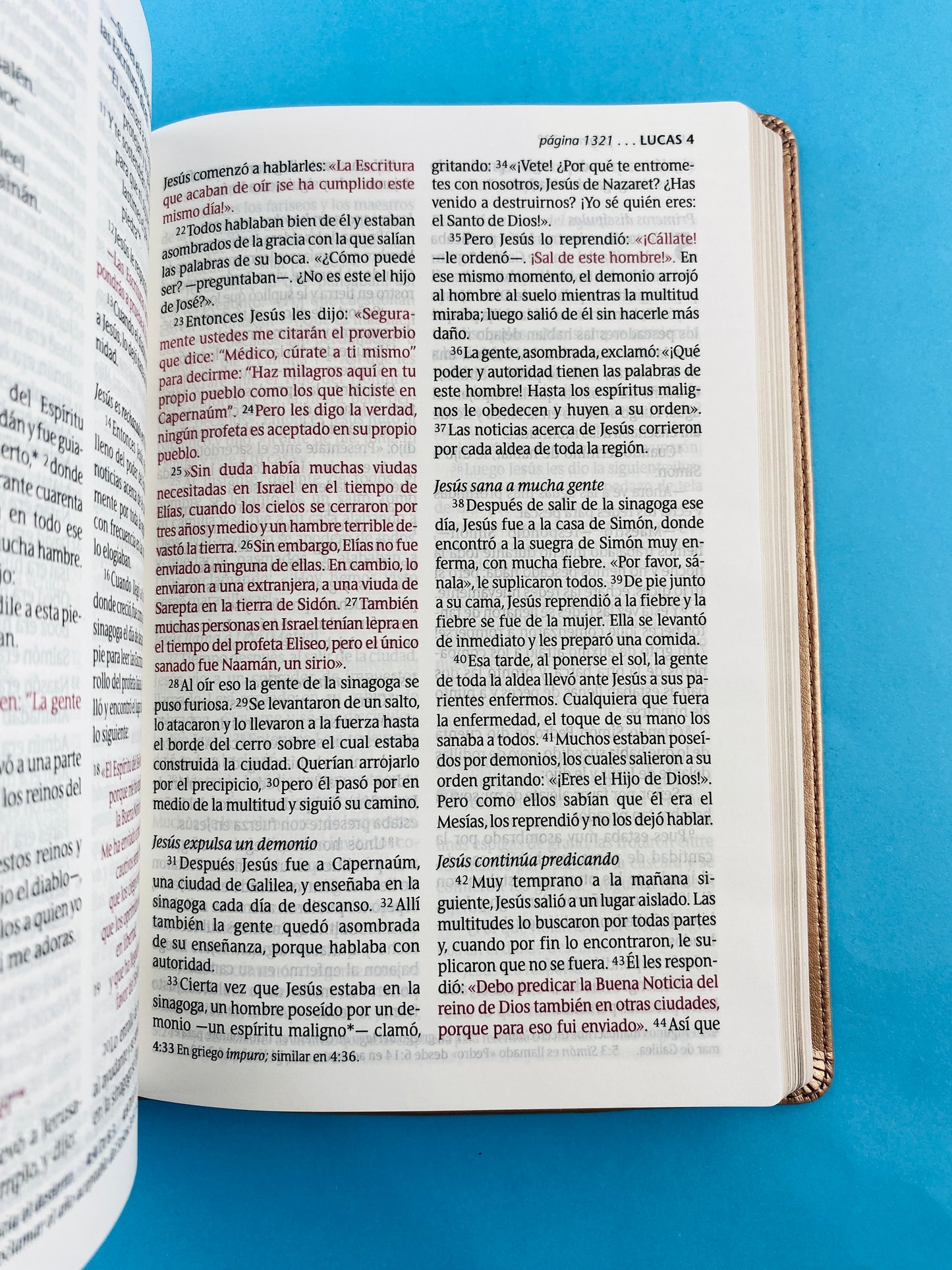 Biblia ntv letra grande edición personal rosa metalizado