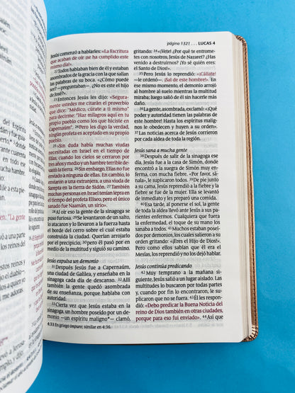 Biblia ntv letra grande edición personal rosa metalizado