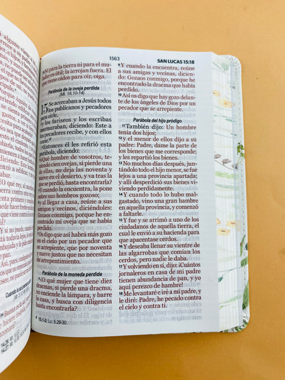 Biblia rvr 1960 colección primaveral letra grande marrón sin cierre