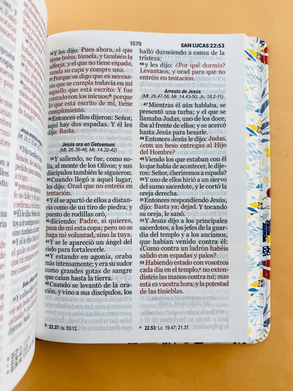Biblia rvr 1960 colección primaveral letra grande naranja sin cierre