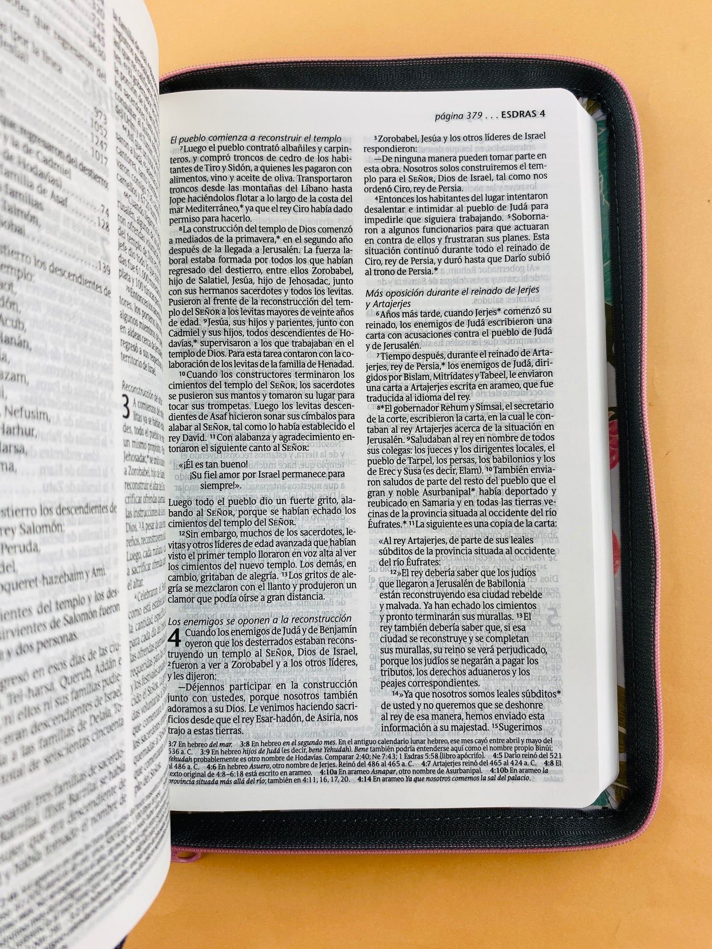 Biblia ntv zíper jardín