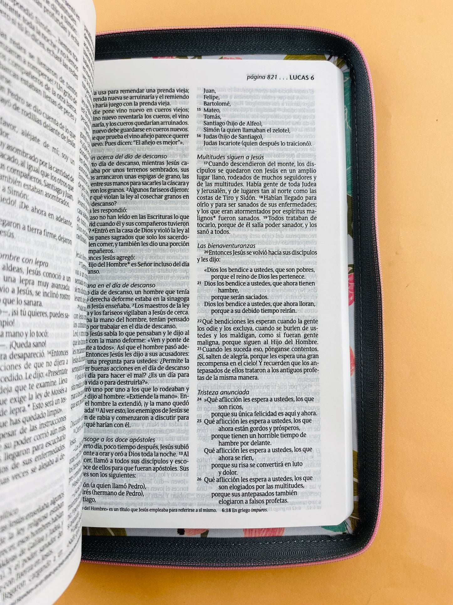 Biblia ntv zíper jardín