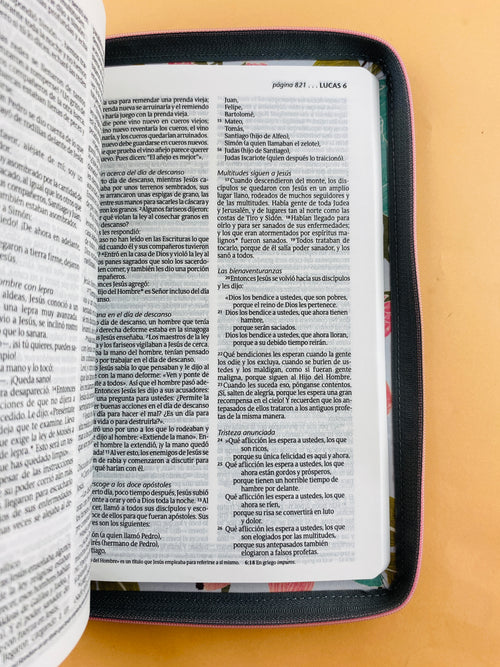 Biblia ntv zíper jardín by Nueva Traducción Viviente