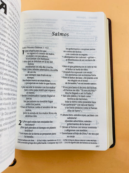 Biblia ntv letra grande edición personal café